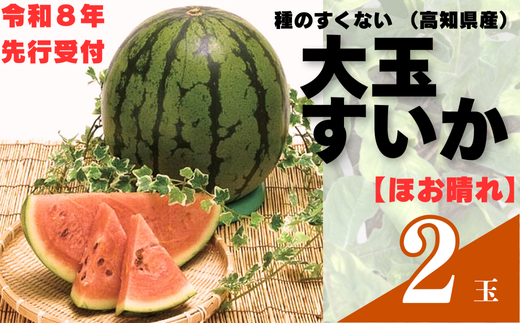 103002 山中農園のスイカ 2玉【先行受付】 種が少ない 2玉 フルーツ