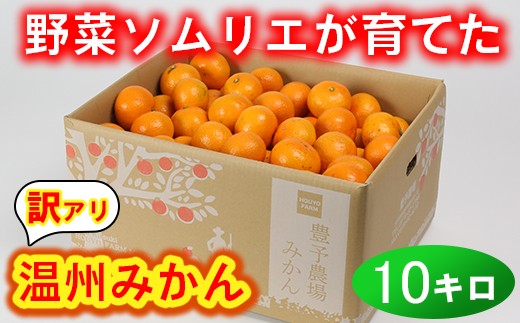 訳あり・規格外品】野菜ソムリエ石児さんの「温州みかん 10kg」 ミカン