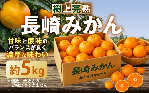 498長崎産　超希少みかん　マコポン　家庭用果実約8㎏ 先行予約】＜2月発送＞長崎県産 ぽんかん 5kg(2L～L・約32～40玉) 長崎