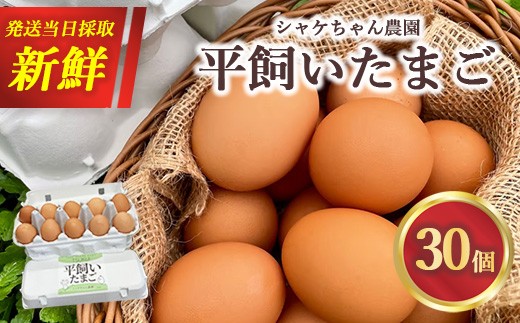 シャケちゃん農園の平飼い卵 30個 ｜ ボリスブラウン 新鮮 平飼い