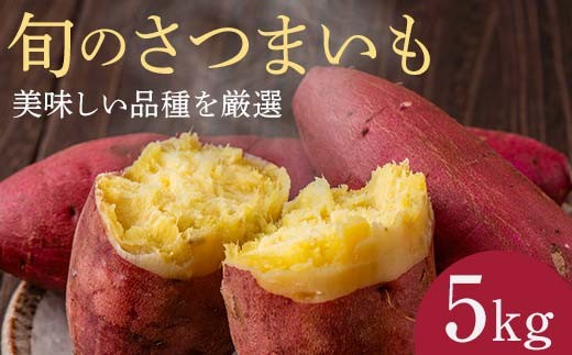 富の川越いも5kg FAA-027 - 埼玉県三芳町｜ふるさとチョイス