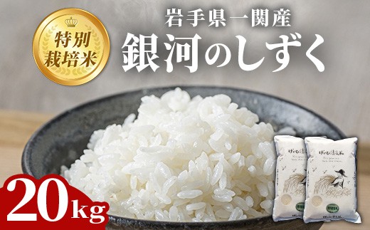 お米　精米【岩手県産銀河のしずく20kg 】（5kg×4 ) 7年連続特A！ お米 精米【岩手県産無洗米銀河のしずく20kg】5kg×4 7年連続特A