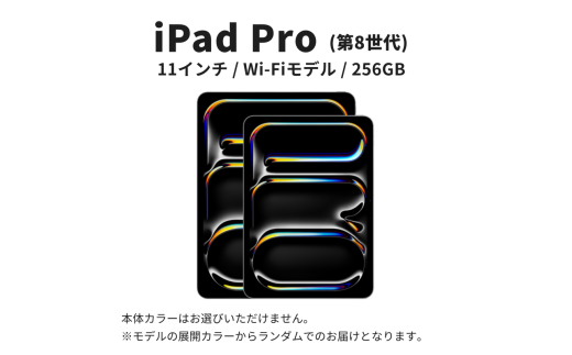 数量限定】Apple iPad Pro 11インチ 2025年発売 第8世代 256GB Wi-Fi