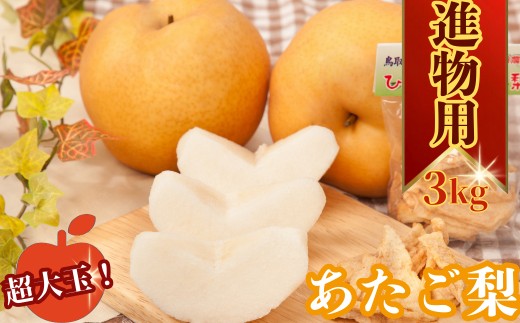 あたご梨 3kg【2026年11月20日頃から発送開始】ナシ なし 鳥取県産