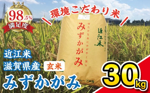 令和7年産 みずかがみ 玄米 30kg 【K073W】 みずかがみ 米 お米 こめ 