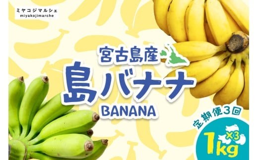 バラ売り可メルカリ祭限定セール8個セット【新品】スリムアップスリムイート バナナ JH009 宮古島産バナナ（1㎏×定期便3回）【（株）フラモン】 - 沖縄県