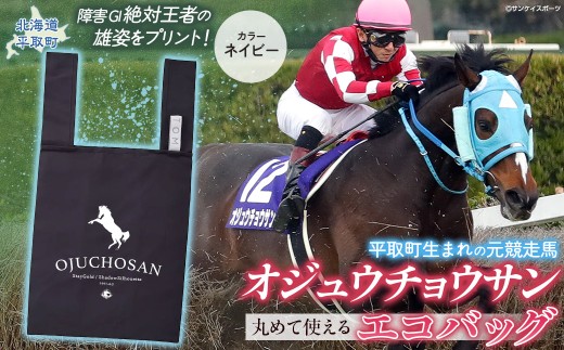 ◆　競馬　JRA　◆　オジュウチョウサン　◆　マグカップキーホルダー缶バッジ他◆ ◇ 競馬 JRA ◇ オジュウチョウサン ◇ マグカップキーホルダー缶