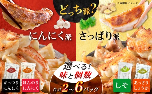 あなたはどっち派？】選べる餃子2種セット！【餃子屋ヒロ】餃子