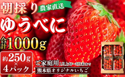農家直送 南関町産いちご(ゆうべに) 計1kg 4パック