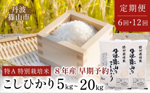 定期便・令和8年早期予約】特Aランク 特別栽培米 コシヒカリ 5kg 10kg