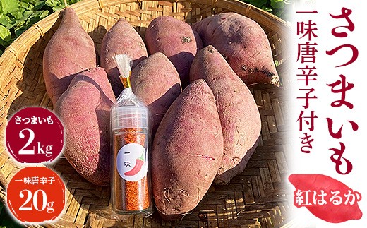 さつまいも2㎏ 一味唐辛子付き（20g）｜ サツマイモ 紅はるか かんしょ