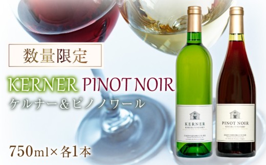 ケルナー2024年＆ピノノワール2024年 750ml× 各1本 セット ギフト