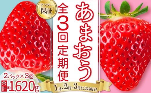 あまおう 定期便 全3回】【先行予約／2027年出荷】福岡県産あまおう 約
