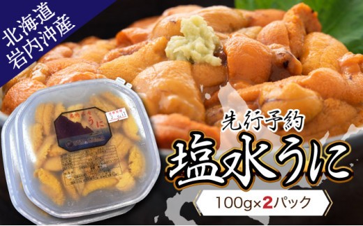 先行予約】塩水ムラサキウニ100g×2パック 北海道岩内沖産 【2024年7月