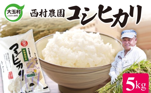 米 コシヒカリ 5kg お米 おこめ コメ 精米 白米 おにぎり 農家 令和7