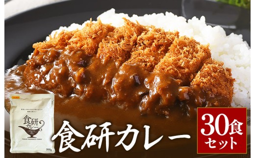食研カレー200g×30袋 【VB02360SET30】 - 愛媛県今治市｜ふるさと