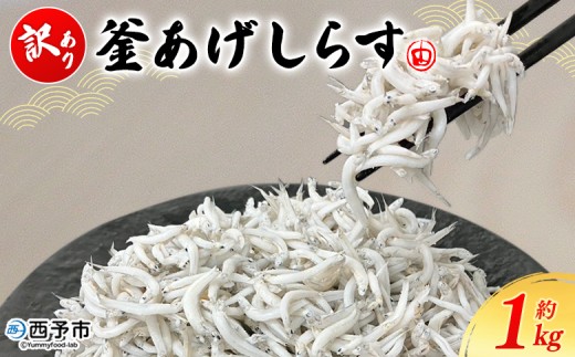 訳あり 釜あげしらす 約1kg＞ 老舗網元 釜揚げ しらす シラス 海鮮