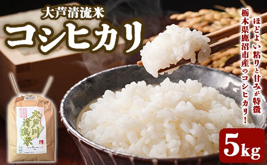 大芦清流米 コシヒカリ 5kg ｜ 米 お米 おこめ 精米 5キロ ご飯 ごはん 