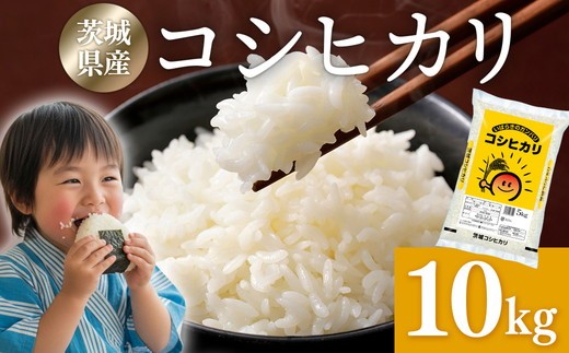 発送月が選べる】米 10kg 令和7年産 茨城県産 コシヒカリ ｜ 一等米