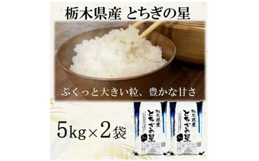 令和7年産】栃木県産とちぎの星 （精米）5kg×2袋 ｜ お米 白米 一等米
