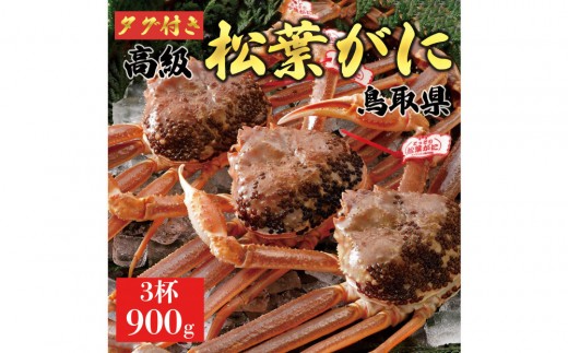 2026年1月～2026年3月発送】特撰 松葉がに（なま）【ブランドタグ付き