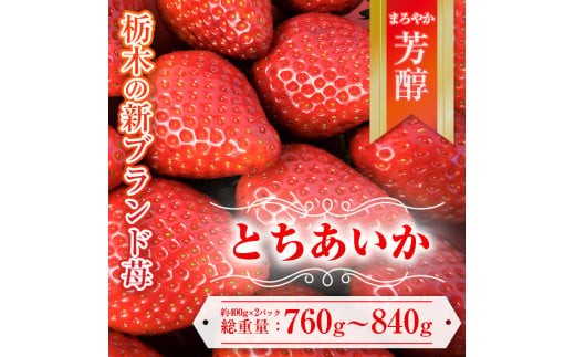 先行予約】とちあいか 約380g～420g×2パック | いちご イチゴ 苺 大粒