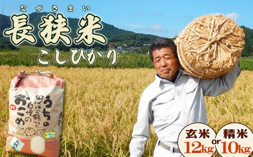 コシヒカリ 玄米　農家出品　利根川の水にて栽培 令和7年産》田代農園『長狭米コシヒカリ（一等米）』選べる【玄米12kg