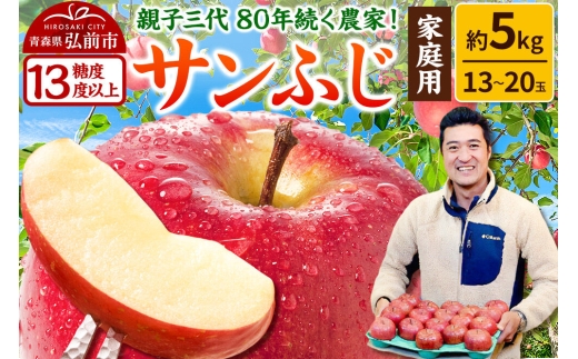 りんご 【糖度13度以上】サンふじ【家庭用】約5kg 13～20玉程度 津軽
