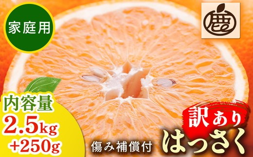 1月より発送＞家庭用 はっさく2.5kg+250g（傷み補償分） ｜ 八朔みかん