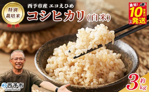 令和7年産 西予市産 特別栽培米 エコえひめ コシヒカリ 玄米 約3kg