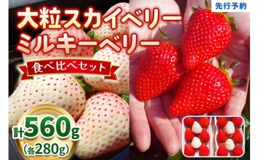 大粒スカイベリー 白いちごミルキーベリー 食べ比べセット《12月中旬