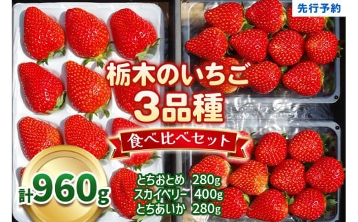 先行予約】いちごの贅沢！栃木の3品種食べ比べセット 960g《12月より