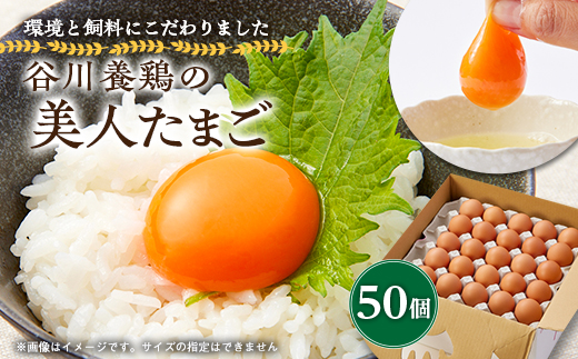 生みたて濃厚＞谷川養鶏の美人たまご 50ヶ入り(※サイズ指定できません