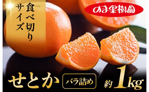 先行予約】せとか（1kg） [K003710K1] 人気商品 国産 高級フルーツ