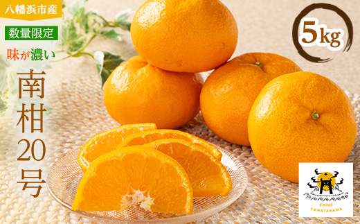 あまーい温州みかん(南柑20号みかん)5kg[数量限定]＜C56-7＞_ みかん
