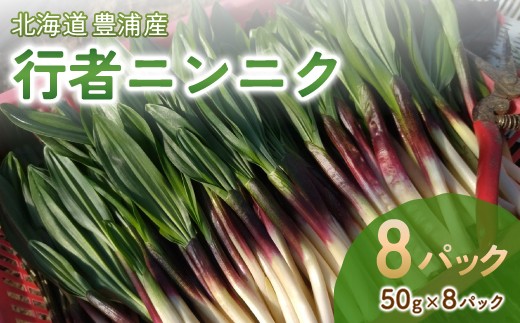 令和8年2月上旬以降発送】行者ニンニク 50g×8パック 北海道 豊浦町産