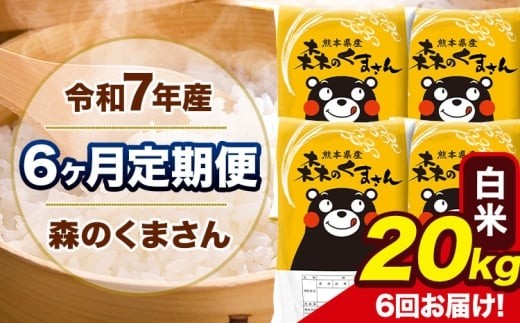 令和7年産 森のくまさん 【6ヶ月定期便】 白米 《お申込み翌月から出荷 