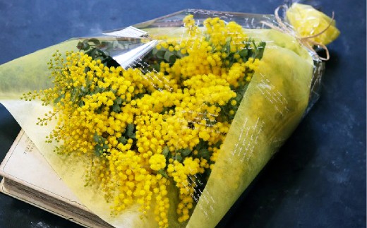 ユーカリとミモザの花束 倉敷市栽培】春限定！ミモザとユーカリの花束/フレッシュ【2027年2月