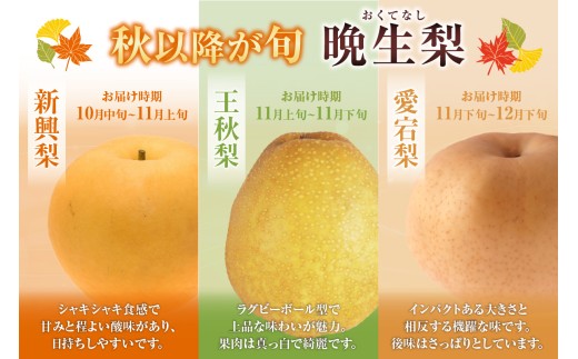 ふるさと納税】【2026年産 先行予約】《選べる内容量 3kg・5kg》【晩生