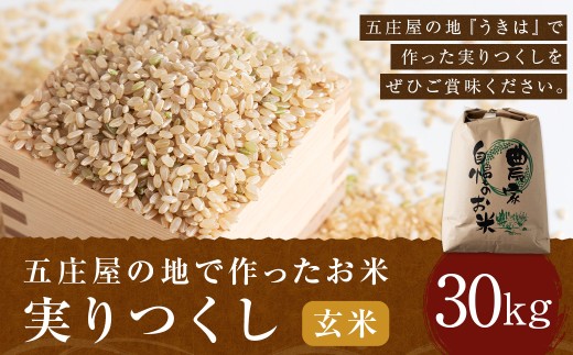 Shinoさん専用お米 30kg① Shinoさん専用お米 30kg①