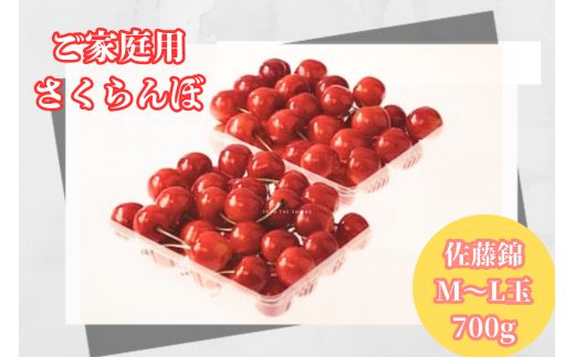 08-05-037 ご家庭用さくらんぼ(佐藤錦)700g - 山形県天童市｜ふるさと