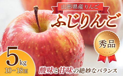 2026年度先行予約》りんご「ふじりんご」秀品 10～18玉 5kg りんご