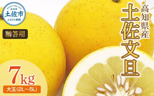 土佐文旦（ぶんたん）（大玉：2L~5L 混合）約7kg 土佐文旦発祥の地