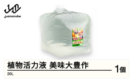 植物活力液 美味大豊作GT-S ５リットル 作物が早く大きく育ち収穫量も増加！ 植物活力液 美味大豊作 GT-S 5L 肥料 園芸 野菜 花 作物 F21A-423