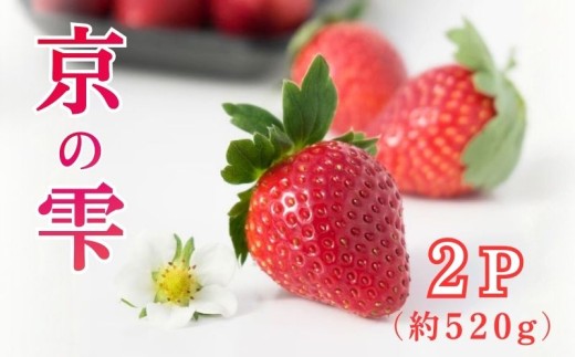 2025年12月~翌5月発送】 いちご 京の雫 2パック 約520g ブランド 2025年12月~翌5月発送】 いちご 京の雫 2パック 約520g ブランド