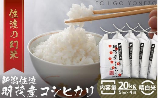 新潟 佐渡産コシヒカリ 20キロ 無農薬 数量限定 新潟県佐渡産の純粋
