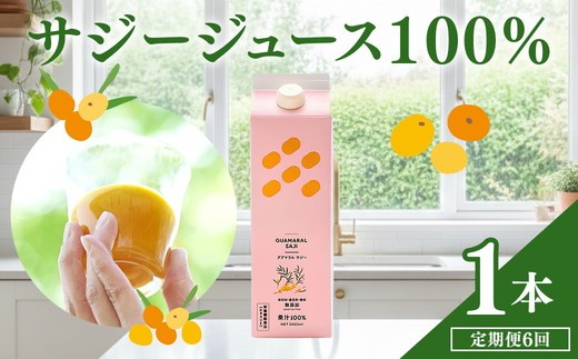 定期便】 サジージュース 100% 1000ml×毎月1本 6ヶ月コース | サジー