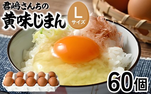 君嶋養鶏園のたまご Lサイズ 55個＋割れ補償5個（10個入り×6パック）計