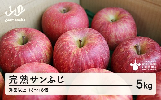 先行予約》2026年 山形県産 完熟 サンふじ りんご 秀品以上 5kg 13~18