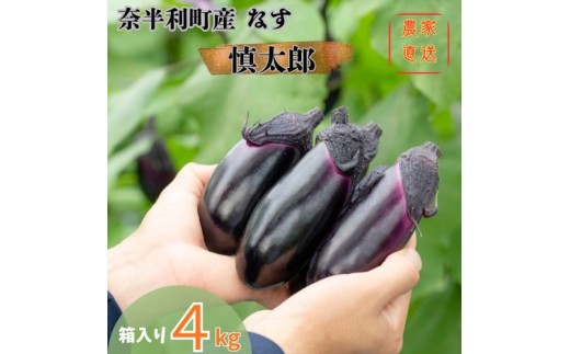 131002 奈半利町の茄子【慎太郎】4kg ナス なす 産地直送 野菜 箱入り